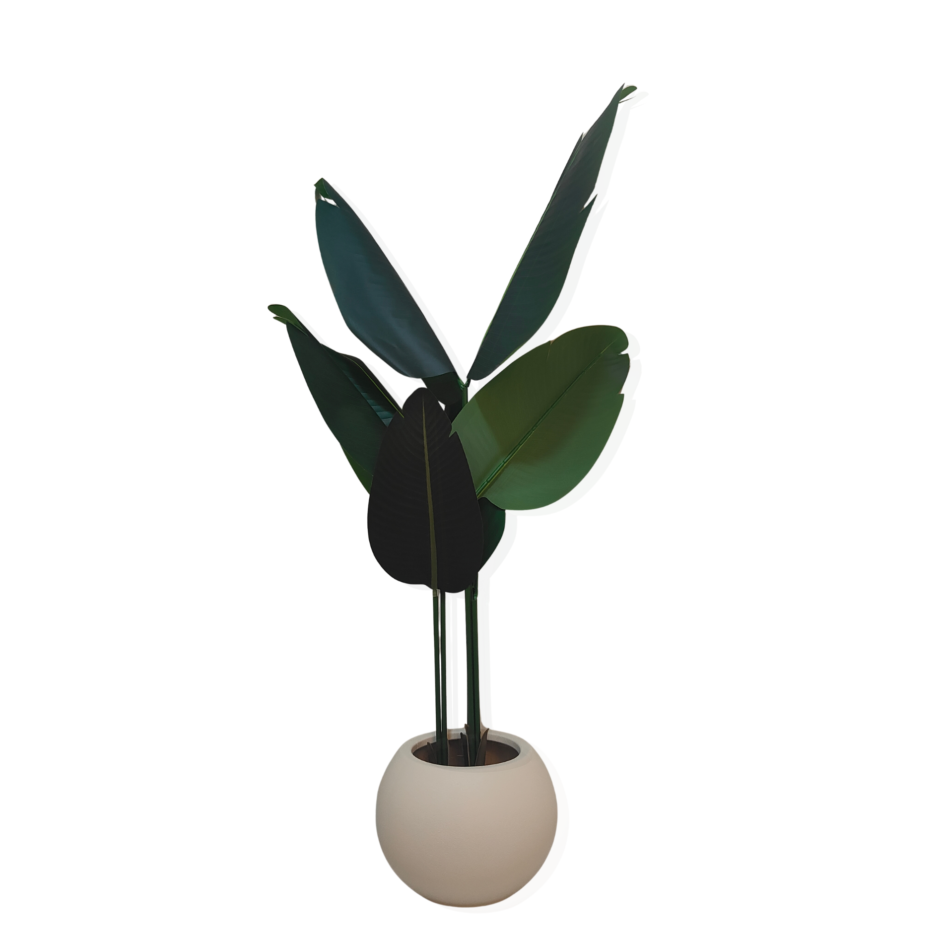 Photo for Website Fake Plant - Image 1